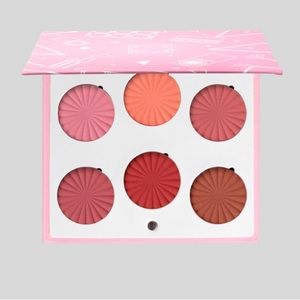BEAND NEW OFRA Charm Your Cheeks Blush Palette